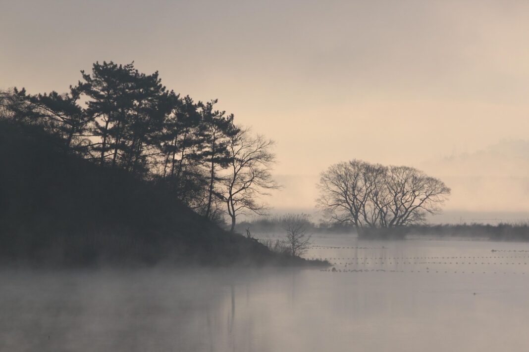 Ce ne spun cadavrele din mlaștini despre epoca triburilor germanice