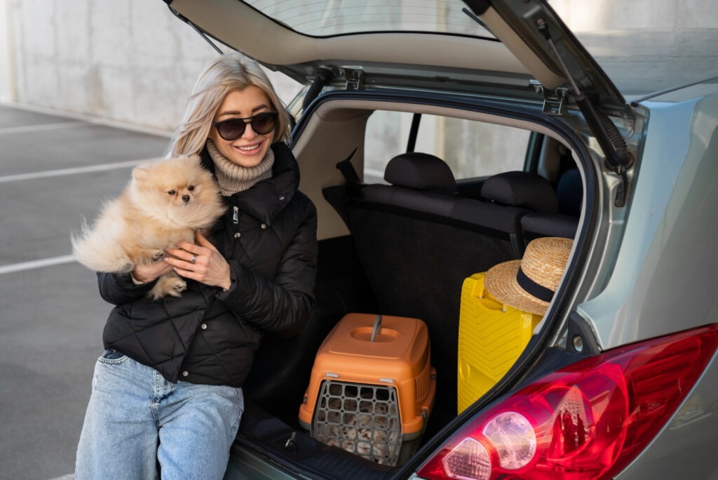Ce să pui în bagaj când călătorești cu câinele: Ghidul practic de care are nevoie orice iubitor de animale pentru o vacanță fără griji
