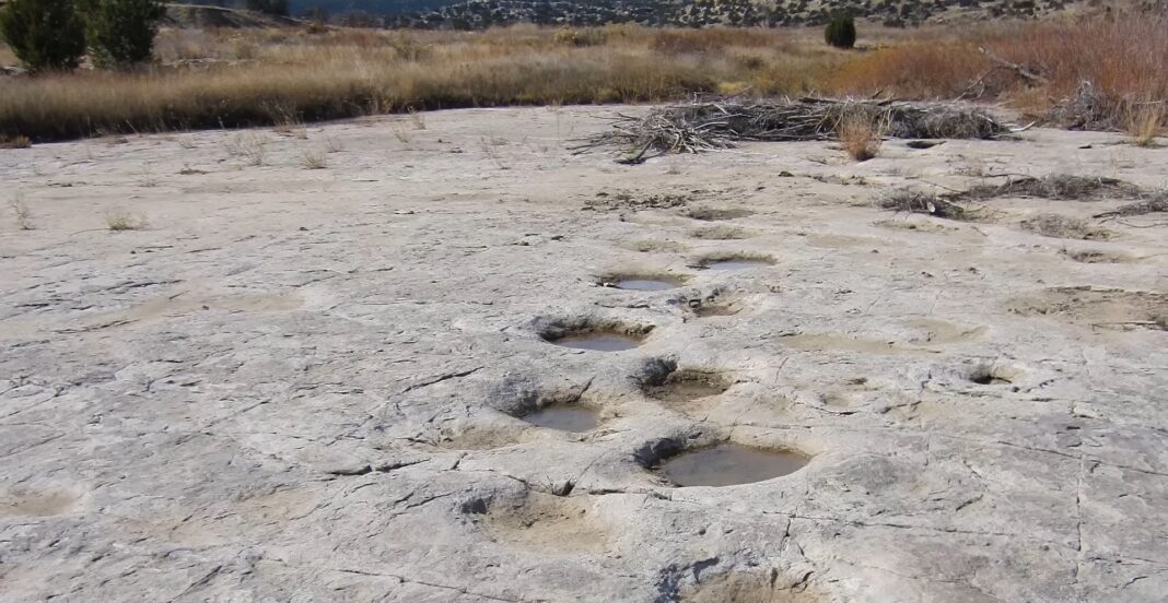 Cum ajută inteligența artificială la identificarea dinozaurilor după urmele de pași: „Facem același lucru ca prințul din Cenușăreasa”