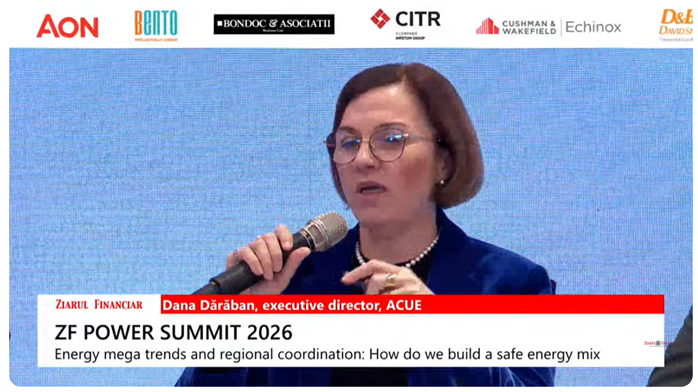 Daniela Dărăban, executive director ACUE: Noile tehnologii şi investiţiile care se dezvoltă acum mută sectorul energiei într-o altă paradigmă, în care operatorul de distribuţie primeşte roluri noi, iar sistemul de distribuţie îşi schimbă fundamental modul de funcţionare