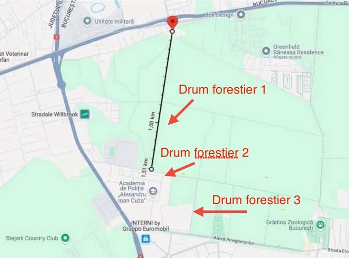 Dispută deschisă între Romsilva și Ministerul Mediului privind drumul forestier din Pădurea Băneasa. Instituțiile se contrazic asupra legalității unui tronson de 720 de metri, după anunțul finalizării raportului Corpului de Control