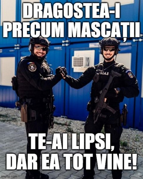 „Dragostea-i precum mascații. Te-ai lipsi, dar ea tot vine”. Mesaje de Ziua Îndrăgostiților de la MAI și Forțele Terestre
