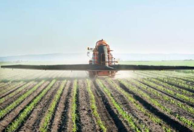 Firmele mari din agricultură se clatină: Agricultorul şi Plantagro-Com au dosare de insolvenţă