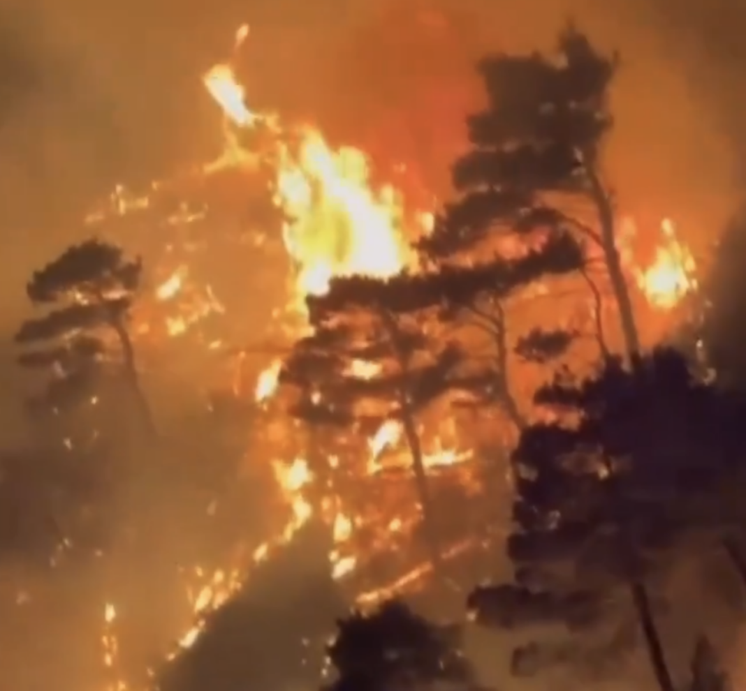 Fumul emis de incendiile de pădure ucide peste 24.000 de americani pe an, arată un studiu de specialitate