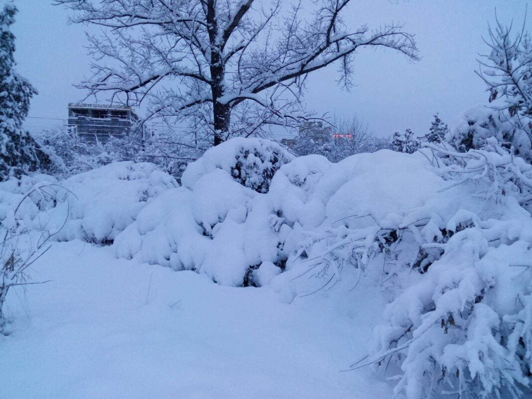 Furtuna de zăpadă de o rară violență paralizează nord-estul SUA: recorduri doborâte, școli închise și mii de zboruri anulate