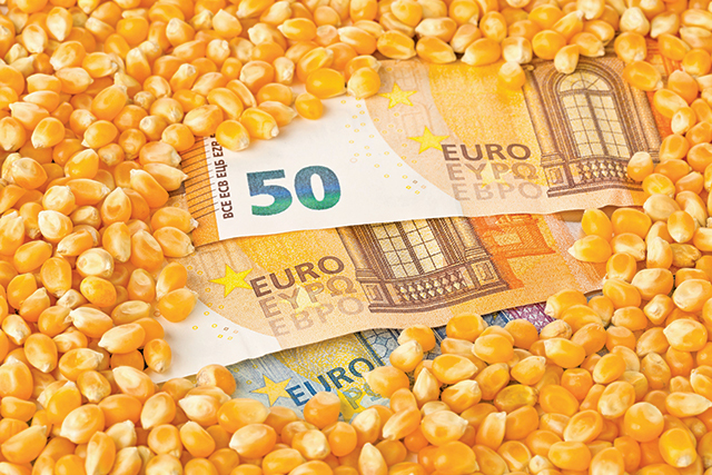 Încă o companie din agricultură intră în concordat preventiv. Proagro din Botoşani: „Preţurile cerealelor sunt ca acum şapte ani. Presiunea pe cash-flow este foarte mare“