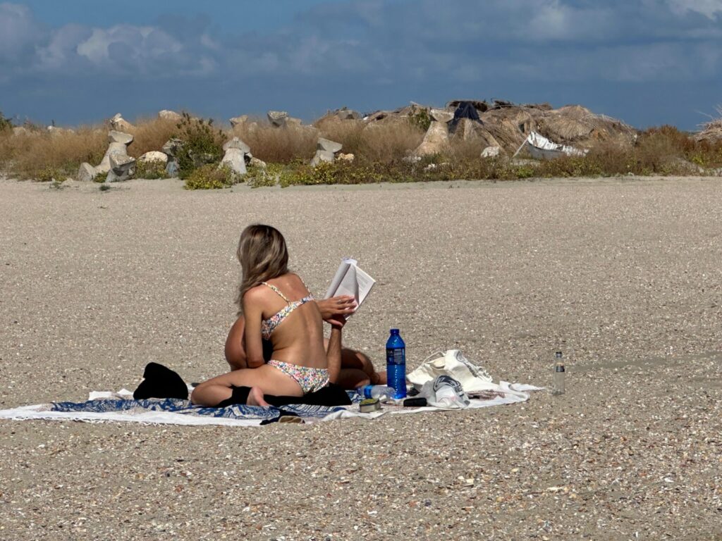 Ministrul Mediului, despre cum va arăta litoralul românesc: ”Nu o să mai meargă să avem plaje de șezlonguri”