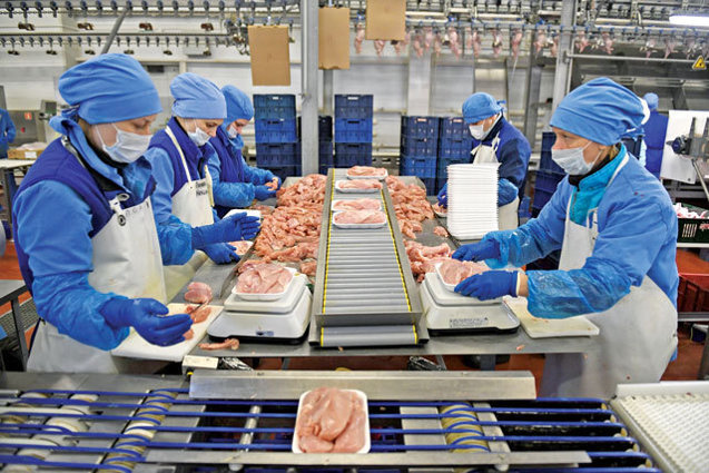 Moldova are autostradă. Ce face cu ea Grupul Agricola, care exportă carne de pasăre, salamuri şi ready-meals: Avantajul autostrăzii A7 constă în optimizarea timpilor de livrare către zona de sud a ţării şi creşterea siguranţei în trafic