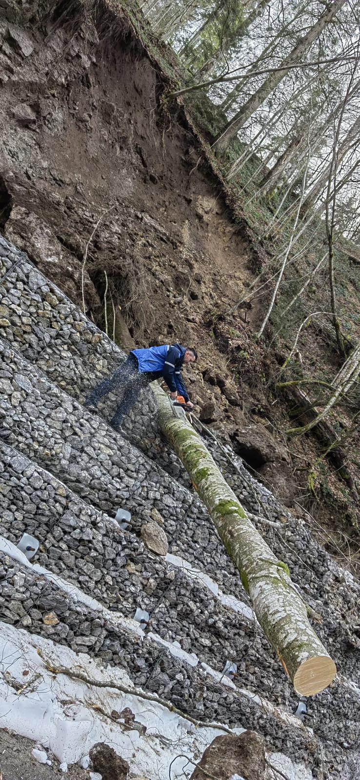 NEWS.ro: Bihor: Intervenţie a autorităţilor după ce un drum din zona staţiunii Stâna de Vale a fost blocat de căderi de pietre de pe versanţi. Un arbore de mari dimensiuni, antrenat în alunecarea terenului - FOTO