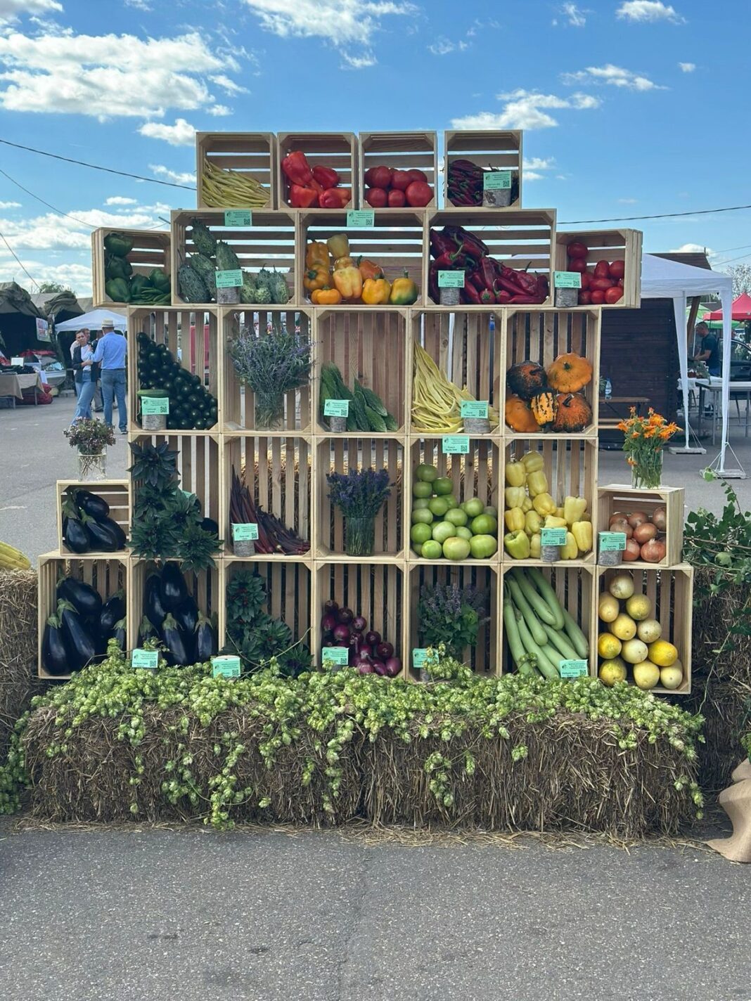 NEWS.ro: Cercetătorii legumicoli din Buzău îi cer premierului Bolojan salarii decente: Ni s-a spus mereu: ”Învaţă ca să ai parte”. Am învăţat. Acum încercăm să avem… mâncare / Salariul unui cercetător cu doctorat  este 3.900 de lei