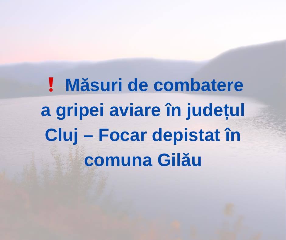 NEWS.ro: F️ocar de gripă aviară, în comuna Gilău/ Două lebede, găsite moarte în zona lacului de acumulare Gilău-Someşu Rece