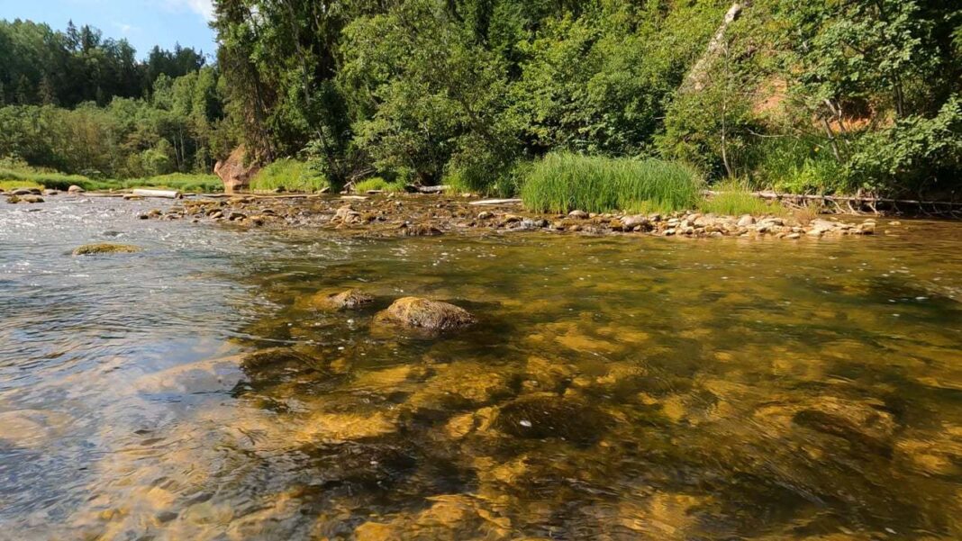 NEWS.ro: Sibiu: Fratele celor doi copii care s-au înecat într-un pârâu, în localitatea Chirpăr, dat în plasament în regim de urgenţă