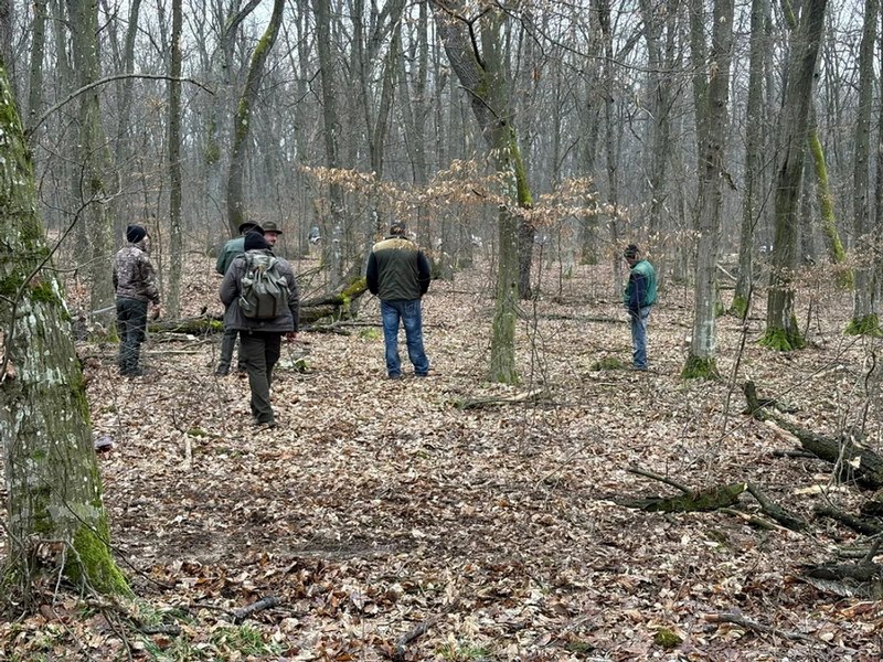 Patru persoane au fost reținute în dosarul privind defrișările ilegale în pădurea din Băile Felix. Ce au găsit anchetatorii la percheziții