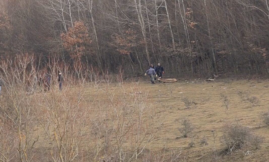 Prefectura Cluj: Peste 200 de animale moarte în ”lagărul” de la Recea Cristur / Sunt bizoni, bivoli, cerbi și căprioare / Multe din animalele încă în viață nu mai au capacitatea de a se hrăni singure
