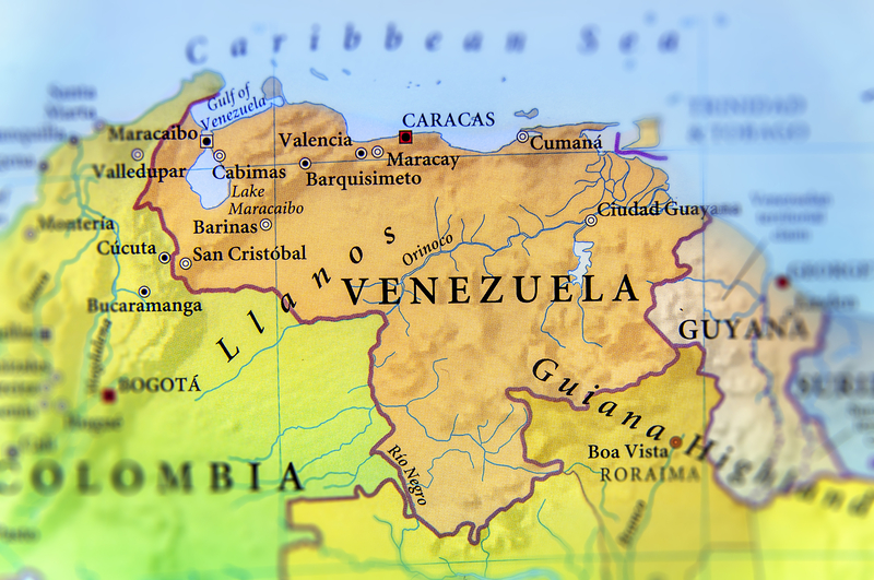 Preşedinta interimară a Venezuelei se angajează să organizeze alegeri libere