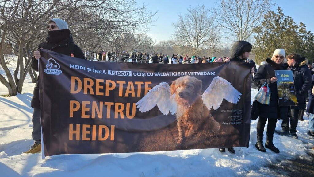 Protest în fața Parlamentului după dezvăluirile despre abuzurile din adăpostul Suraia: Sute de oameni cer dreptate pentru animale (FOTO & VIDEO)