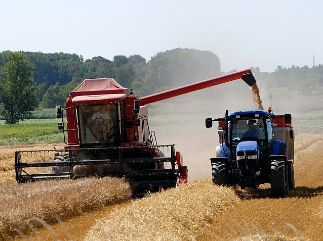 Se clatină firmele mari din agricultură: Agricultorul din Bacău şi-a cerut insolvenţa, iar Plantagro-Com din Vaslui deja cheamă creditorii „la masă“