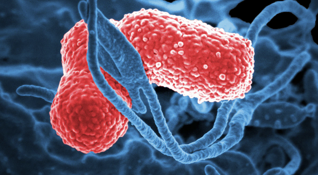 Spitalul de Boli Infecțioase din Iași a accesat un proiect de 13 milioane de euro prin PNRR, pentru combaterea infecțiilor nosocomiale