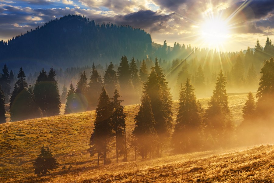 Vreme mai caldă decât normalul perioadei, însă plouă în mai multe regiuni