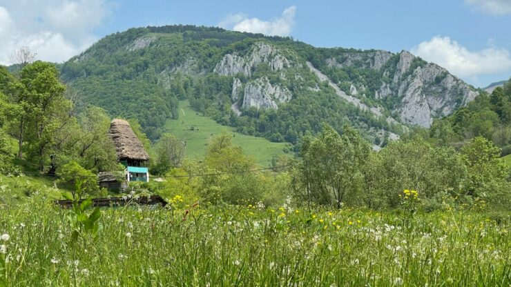 Zăcăminte de minerale rare, descoperite în Apuseni de o companie canadiană: uraniu, cobalt, nichel, aur, plumb, zinc și cupru / Rezultatele obținute ar indica un potențial geologic semnificativ