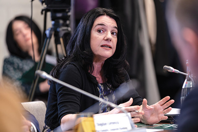 Adina Chilim-Dumitriu, partener executiv, NNDKP: Avem în România clienţi pe care îi asistăm în obţinerea autorizaţiilor necesare pentru reconversia de la producerea de componente pentru industria auto la producerea pentru industria de apărare