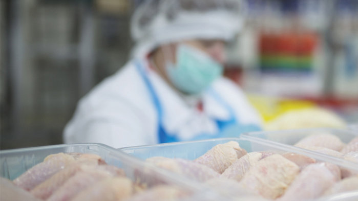 Carnea de pasăre a ajuns să susţină 75% din exporturile României de carne