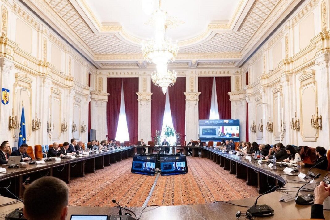 Cazurile de abuz din adăposturile de câini din România, aduse în atenția parlamentarilor: Unii dintre ei nici nu au putut să se uite la imagini (VIDEO)