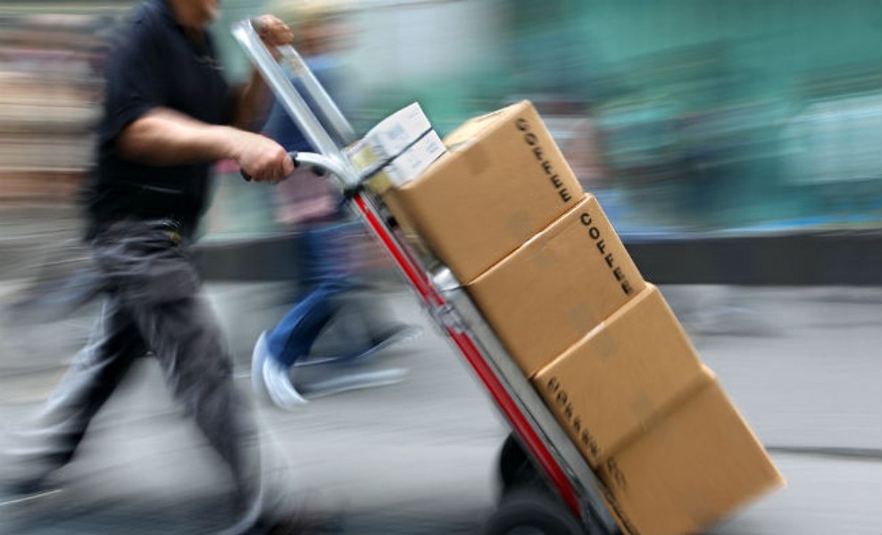 Ce a găsit un bărbat în coletul pe care îl comandase de pe Temu: „Era viu. Sunt șocat, putea fi mult mai grav”