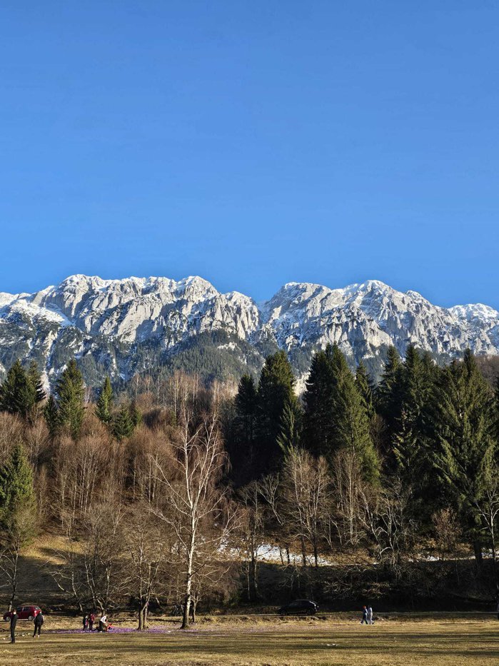 ​Check-in de weekend în România care merită văzută. Ştii Plaiul Foii?