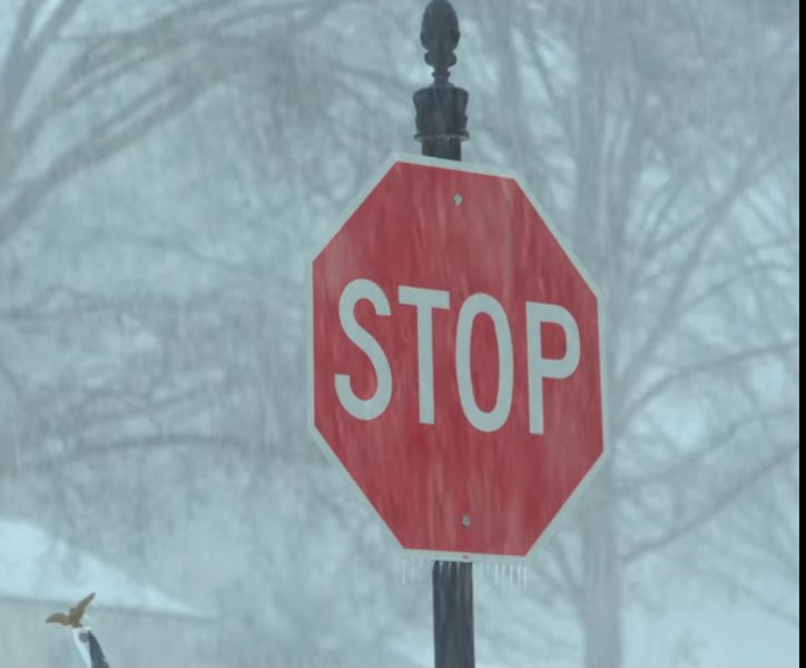 Cod portocaliu de viscol în România. Furtuni, ninsori și vânt puternic în jumătate de țară. Care sunt zonele vizate