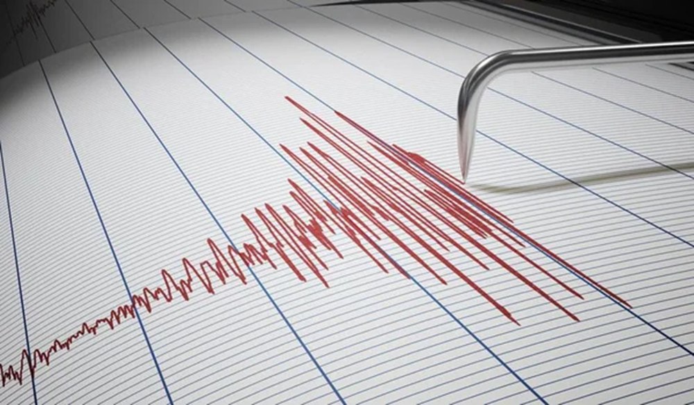 Cutremur cu magnitudinea 3,1 în zona seismică Vrancea. La ce oră s-a produs