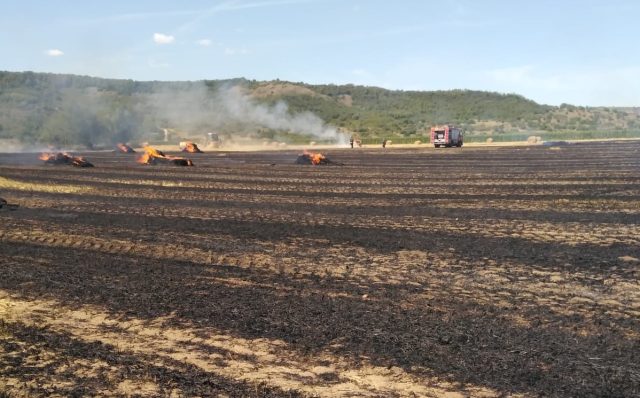 Două trenuri de călători, oprite în Mureș din cauza unui incendiu de vegetaţie / În ultimele 24 de ore, în judeţ au fost înregistrate 11 misiuni ale pompierilor pentru stingerea incendiilor