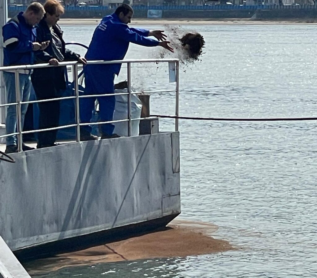 FOTO Poluare accidentală pe fluviul Dunărea, în zona Turnu Măgurele / Alimentarea cu apă a orașului a fost oprită / Specialiștii de la Apele Române intervin la fața locului