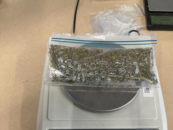 Geantă cu marijuana și bani, donată din greșeală unei organizații caritabile din Noua Zeelandă de doi adolescenți