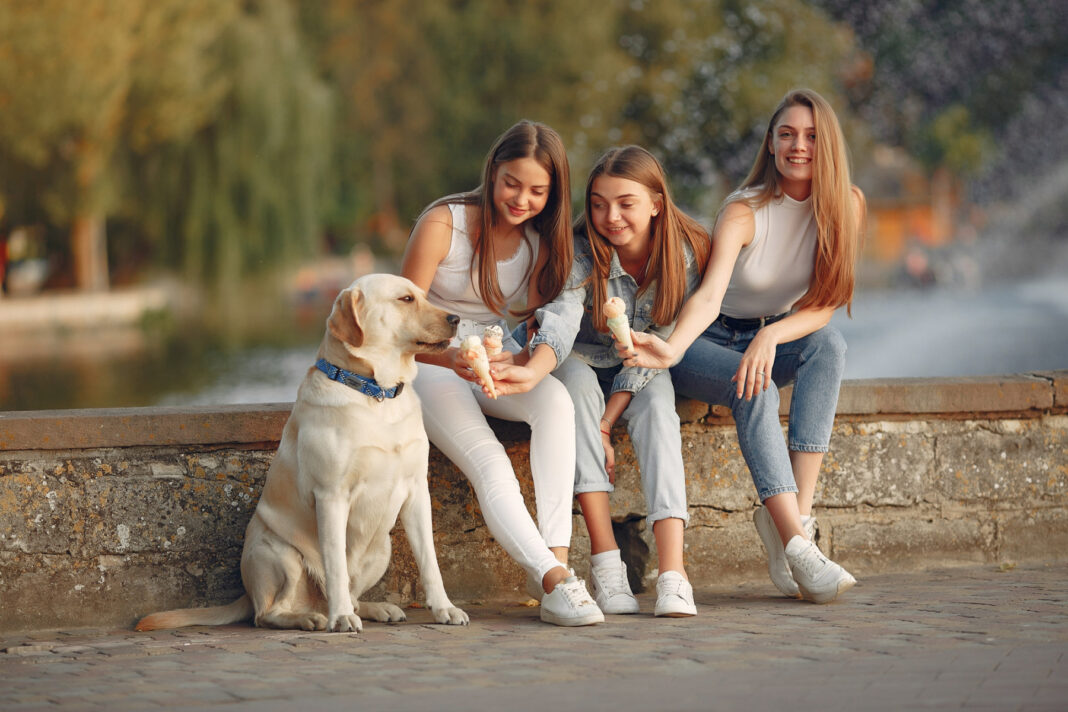 Generația Z și iubirea pentru câini: Sănătatea emoțională a animalelor, prioritate absolută