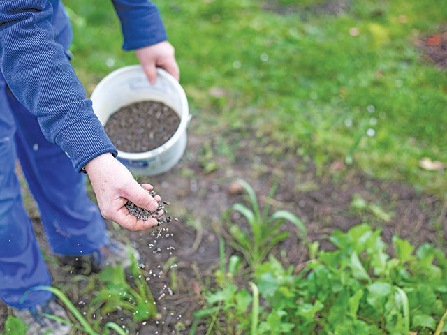 Impactul războiului din Iran: scumpirea alimentelor este inevitabilă în 2026