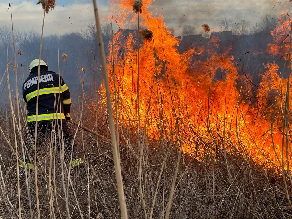 Incendii de vegetaţie pe zeci de hectare în Neamț / Cauza probabilă: foc deschis
