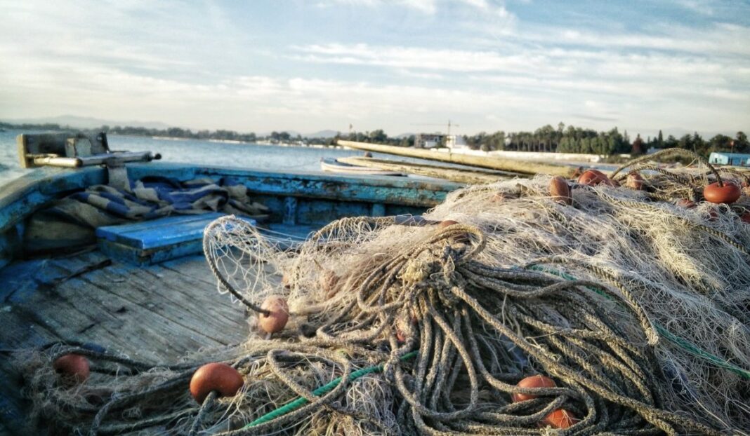 Începe prohibiția la pescuitul scrumbiei în Delta Dunării / Sunt șanse slabe ca interdicția să fie întreruptă pentru perioada anterioară Paștelui