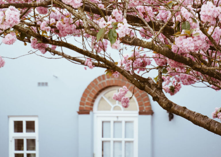 Martie mai cald, aprilie mai ploios