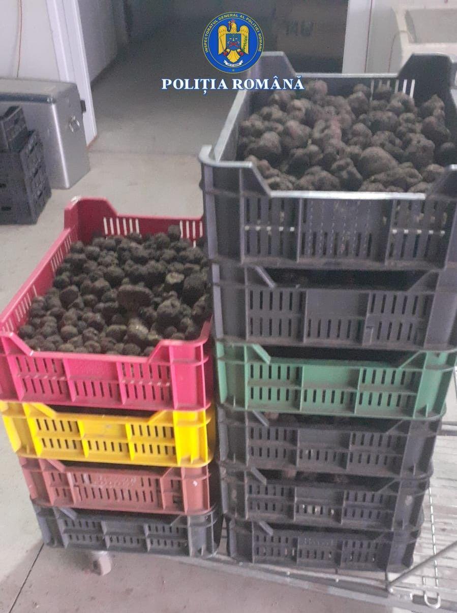 NEWS.ro: Afacerile ilegale cu trufe şi ciuperci, în vizorul Gărzii de Mediu / Au fost făcute 40 de controale, iar valoarea amenzilor se apropie de două milioane de lei. În unele cazuri, operatorii economici au depăşit cu până la 100 de tone cantităţile de ciuperci