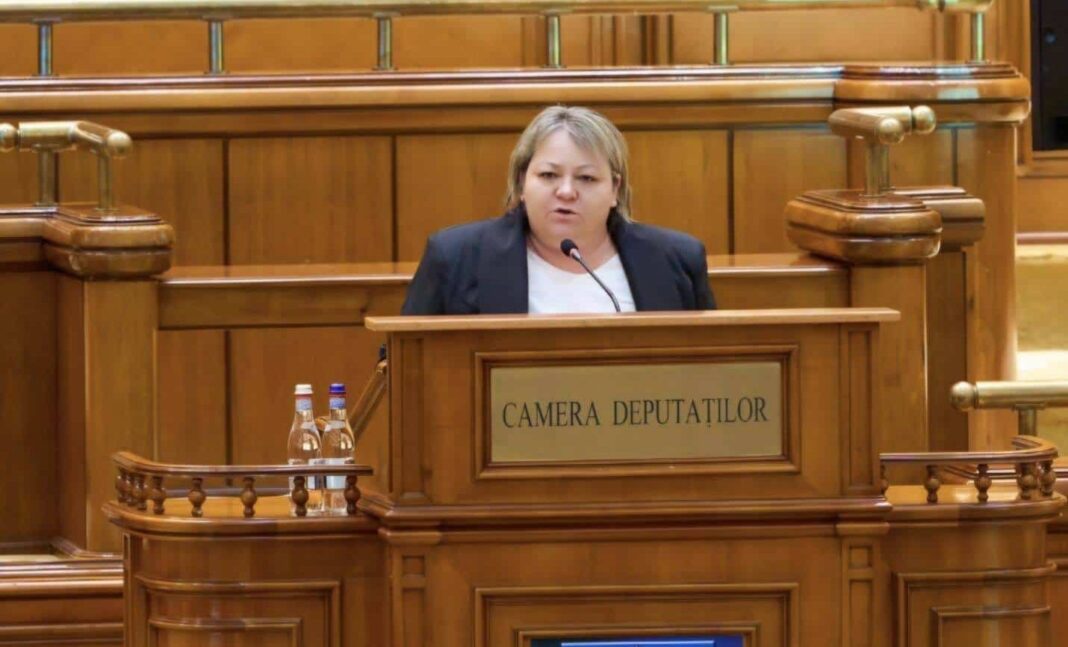 NEWS.ro: AUR anunţă că amendamentul său pentru înfiinţarea centrelor comunitare din Roma, Londra şi Castellón de la Plana a fost adoptat de comisiile de buget