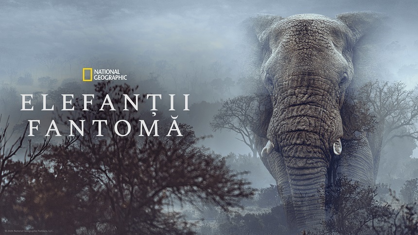 NEWS.ro: Documentar semnat de Werner Herzog despre unul dintre cele mai fascinante mistere ale Africii, pe National Geographic
