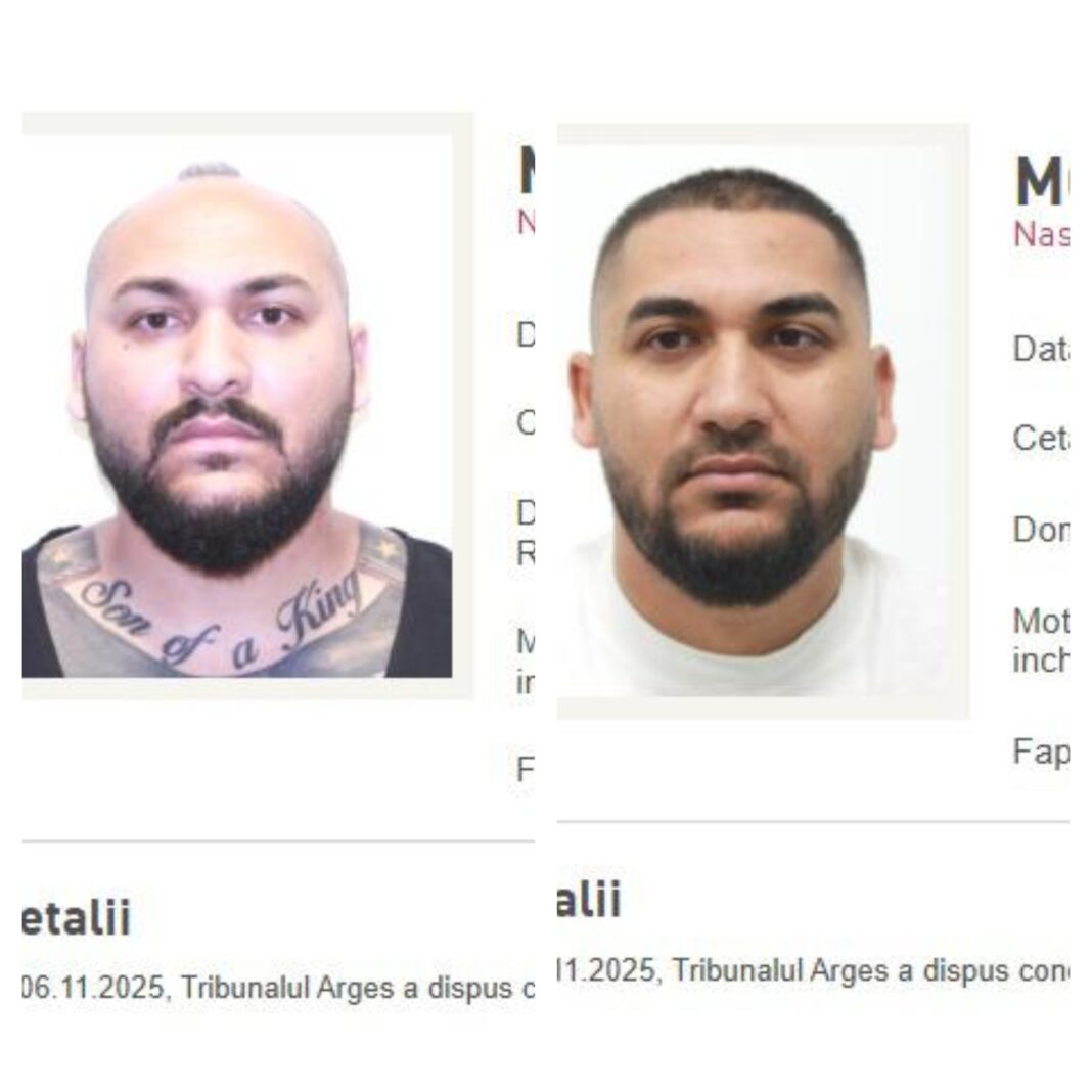 NEWS.ro: Fraţii Dani şi Ionuţ Mocanu, condamnaţi la închisoare pentru tentativă de omor şi prinşi în Italia, aduşi în ţară