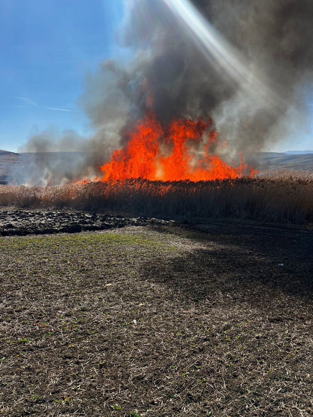 NEWS.ro: Trafic feroviar temporar suspendat pe Magistrala 300, între staţiile Feldioara şi Apaţa, din cauza unui incendiu de vegetaţie