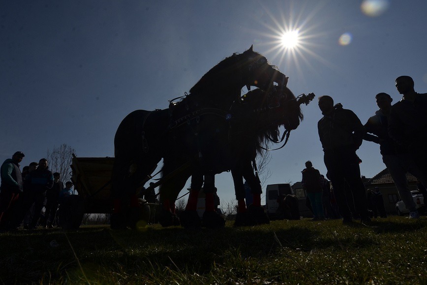 Primarii din zona metropolitană Iași resping ideea transformării comunelor în sectoare / ”Sunt oameni care locuiesc ca la țară, adică au animale, au păsări, lucrează terenuri, merg cu căruța. Ce facem cu ei?