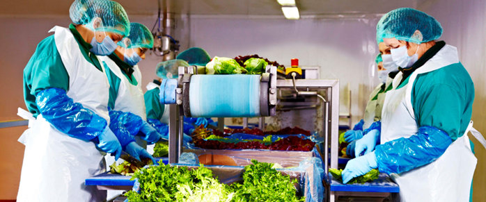 Producătorul de salate Eisberg România s-au majorat afacerile cu 7% în 2025