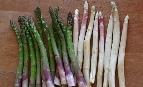 Protest împotriva agricultorilor care păcălesc natura / Sparanghelul italian a fost recoltat mai devreme, după ce a fost udat cu apă caldă / „Forțăm natura”