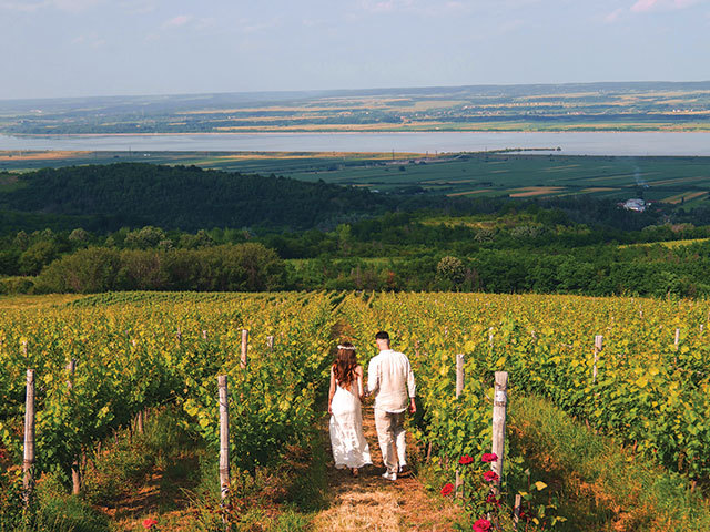 Reportajul săptămânii. O zi în podgoria Drăgăşani, întinsă pe 2.000 de hectare, pe dealurile de deasupra Oltului: cum se pregătesc cele 15 crame din zonă încă de primăvara pentru recolta de toamnă şi pentru vinul ce ajunge din sudul României în Japonia şi Canada