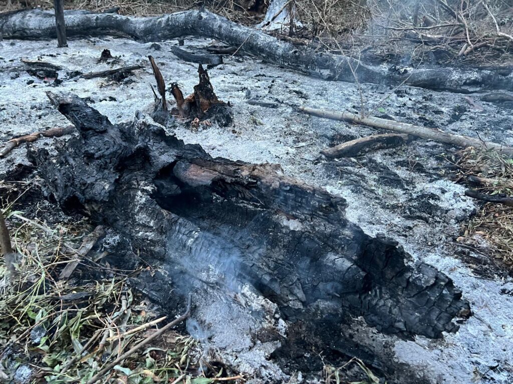 RO-Alert în județul Tulcea: Locuitorii au fost avertizați cu privire la obiecte căzute din aer