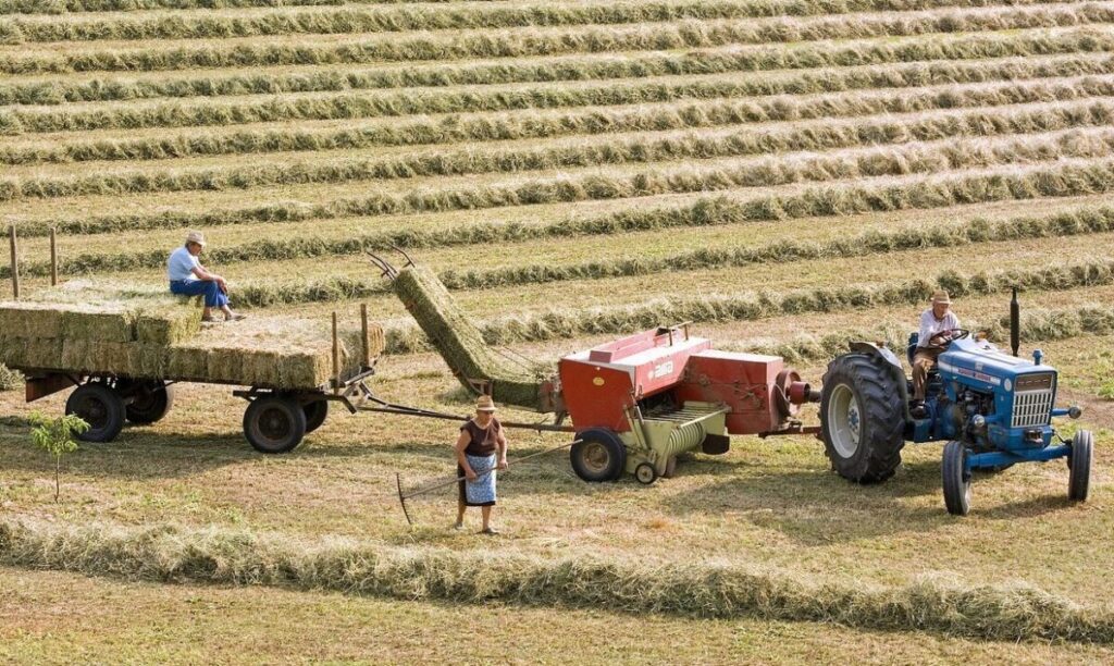 Ruse și Giurgiu își unesc forțele pentru a dezvolta agricultura organică